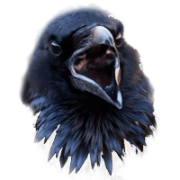 Obsidian314's avatar