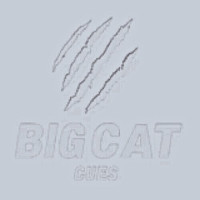 bigcatcues's avatar