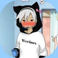 Werinox's avatar