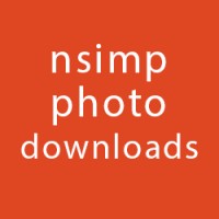 nsimp's avatar