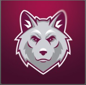 WolfyFoxy's avatar