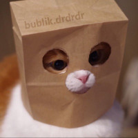 bublikdrdrdr's avatar