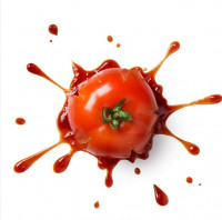 番茄酱ku's avatar