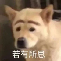 张楚岚's avatar