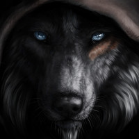 SkyWolfX's avatar